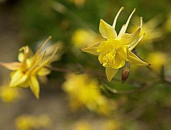 动作潜行恐怖游戏《Venatrix》现已登陆Steam平台